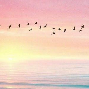 Meet your Posher, Kimberlee